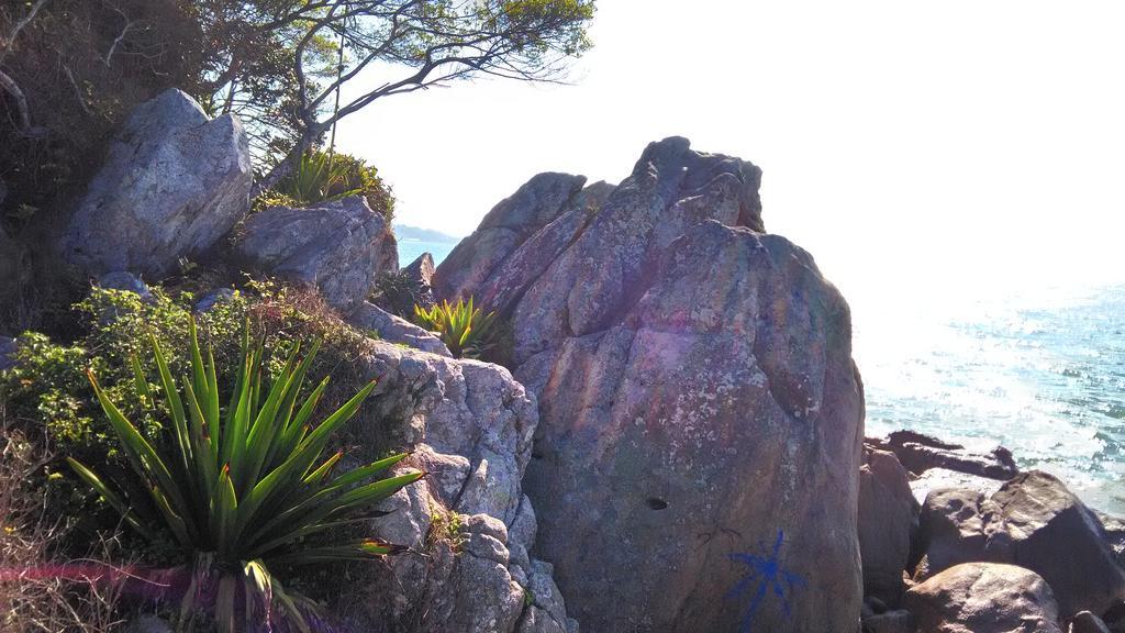 Tartaruga Azul Lägenhet Florianópolis Exteriör bild